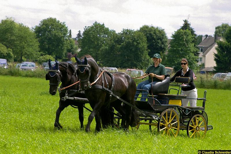 Ponytag Bosbach 2012-050.jpg